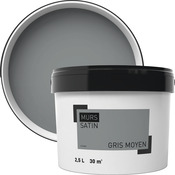 Peinture murale intérieure acrylique Satin Gris moyen 2.5 L - Brico Dépôt