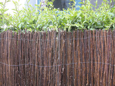 Canisse naturelle en osier fendu - H. 1,50 x L. 3 m - Marque BLOOMA - Brico Dépôt