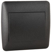 Interrupteur "OME" anthracite - Brico Dépôt