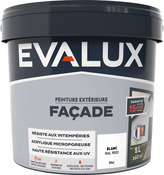 Peinture façade 5 L blanc mat - Evalux - Brico Dépôt