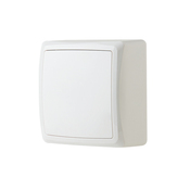 Boîte de dérivation en saillie blanche "Barran" - Brico Dépôt