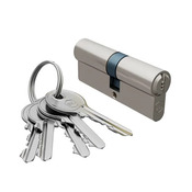 Cylindre de serrure 6 goupilles - Satin Nickel 30x40 mm - Brico Dépôt