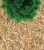 Copeaux de bois naturel, Ep. 50 cm - 70L - Brico Dépôt