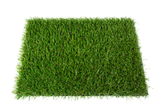 Gazon synthétique 200 monofilament Grass/Olive - Brico Dépôt