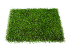 Gazon synthétique 200 monofilament Apple - Brico Dépôt