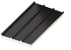 Panneau sandwich 3100 x 1000 mm x Ep. 40 mm - BACACIER - Brico Dépôt