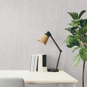 Panneau mural PVC gris mat KIGOMA pour murs et plafonds - 260 cm x 37,5 cm x 0,8 cm - Brico Dépôt