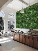 Mur végétal artificiel polyéthylène SPRING 1 x 1 m - Brico Dépôt