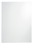 Miroir 60X45 cm "Dunnet" - Cooke and Lewis - Brico Dépôt