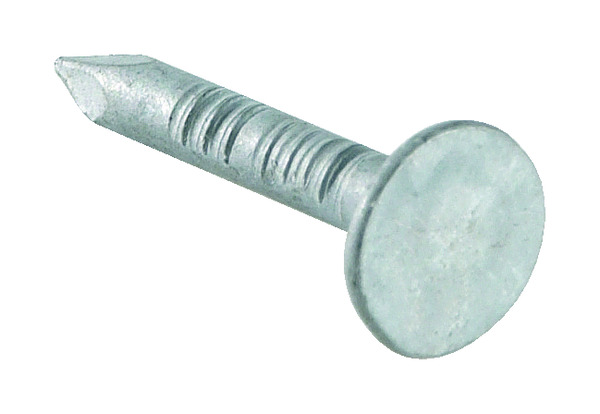 Pointes tête large pour bardeau - Boîte de 200 - Brico Dépôt