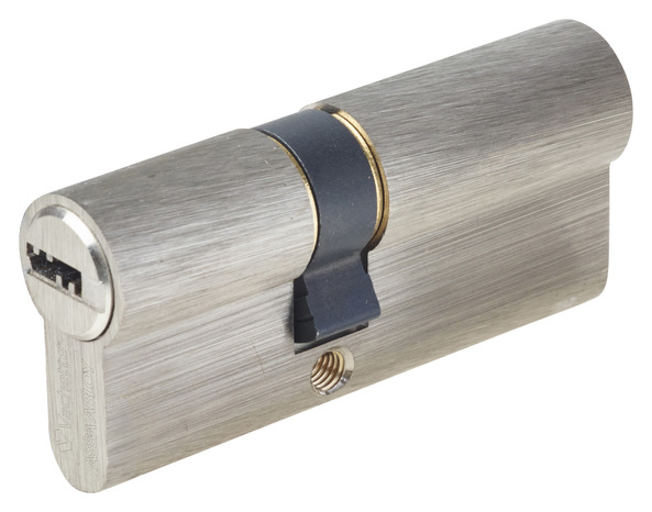 Cylindre en nickel mat 30 x 40 mm - Assa Abloy - Brico Dépôt