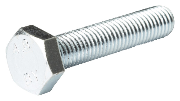 Boulons tête hexa inox 10 x 50 mm 4 kg  - Diall - Brico Dépôt