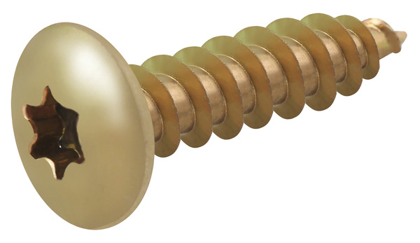 Vis de charnière 6 x 30 mm 20 pièces - Diall - Brico Dépôt