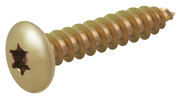 Vis charnière 7 x 40 mm 20 pièces - Diall - Brico Dépôt