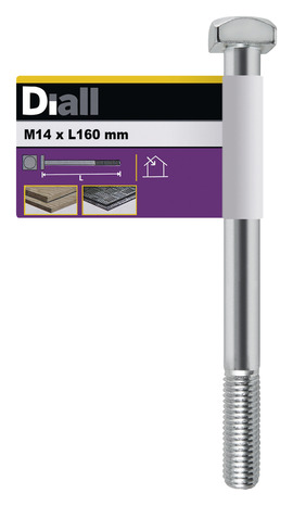 Boulon de charpente galva 14 x 160 mm - Diall - Brico Dépôt