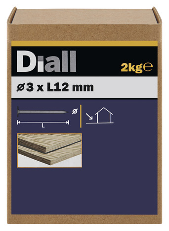 Pointes tête plate galva 3 x 12 mm 2 kg - Diall - Brico Dépôt