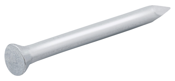 Pointes béton galva 2,5 x 25 mm 1 kg - Diall - Brico Dépôt