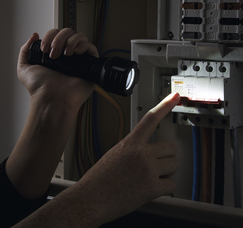 Torche anti-choc étanche 150 m 225 lm - Diall - Brico Dépôt