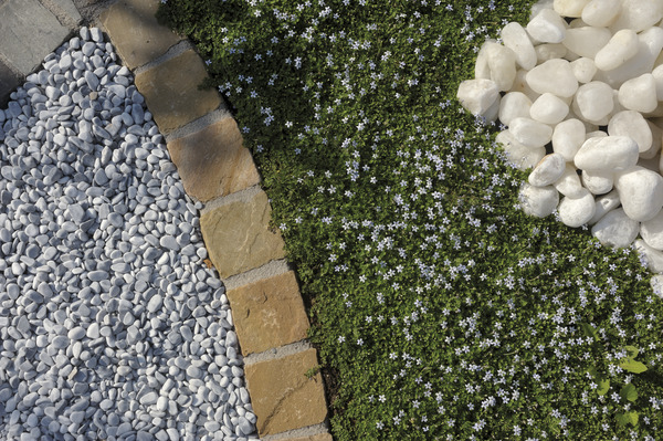 Galets de marbre bleu - Sac de 25 Kg - Marque BLOOMA - Brico Dépôt