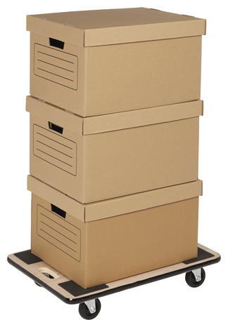 Support roulant L. 60 cm x L. 40 cm - Diall - Brico Dépôt