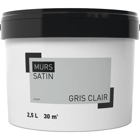 Peinture murale intérieure acrylique Satin Gris clair 2.5 L - Brico Dépôt
