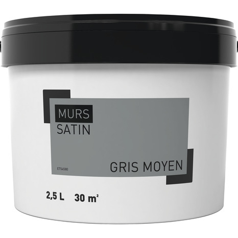 Peinture murale intérieure acrylique Satin Gris moyen 2.5 L - Brico Dépôt