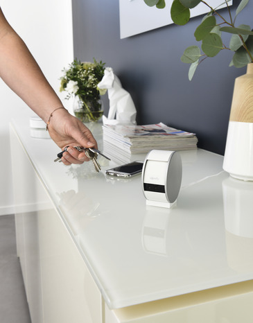 Caméra intérieure wifi infrarouge intelligent - Somfy - Brico Dépôt