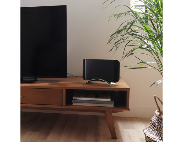 Antenne directionnelle intérieure - Blyss - Brico Dépôt