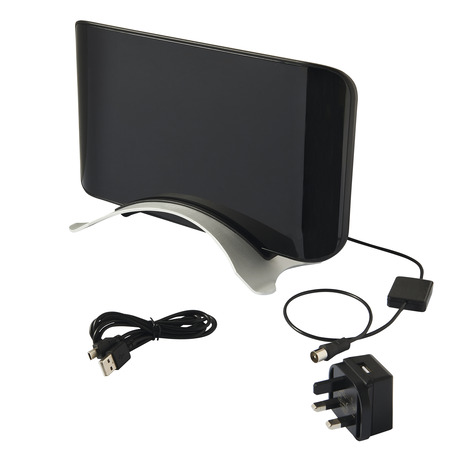 Antenne directionnelle intérieure - Blyss - Brico Dépôt