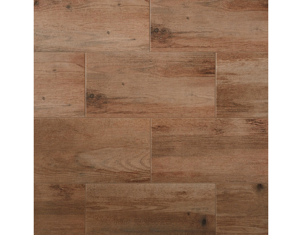 Carrelage de sol extérieur "Norwegio" marron clair - l. 30 x L. 60 cm - Brico Dépôt