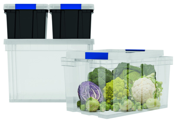 Bac de rangement transparent 51 L "Xago" - Form - Brico Dépôt