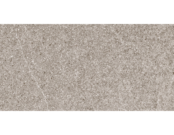 Carrelage de sol extérieur "English Stone" greige - l. 31 x L. 62 cm - Brico Dépôt