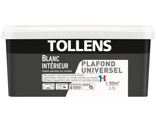 Peinture intérieure monocouche plafonds tachés Blanc Mat 2.5 L - Tollens - Brico Dépôt