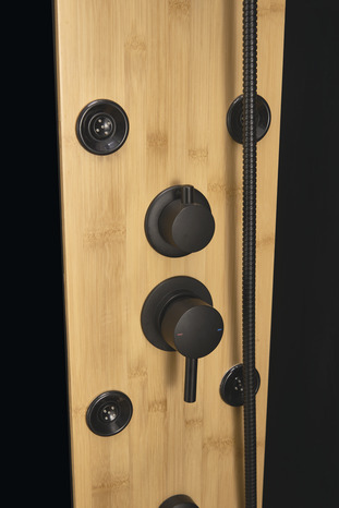 Cabine de douche "Black Bamboo" L. 120 x l. 80 x H 225 cm - Brico Dépôt