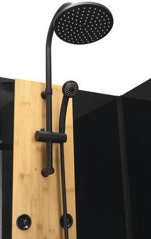 Cabine de douche "Black Bamboo" L. 120 x l. 80 x H 225 cm - Brico Dépôt