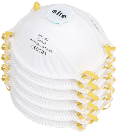 Lot de 10 masques de protection moulés FFP2 - Brico Dépôt
