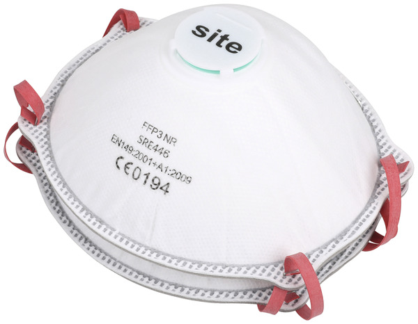 Lot de 2 masques de protection moulés FFP3 - Brico Dépôt