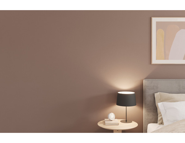 Peinture mur intérieur Mat 2,5 L Marron truffe - Evalux - Brico Dépôt