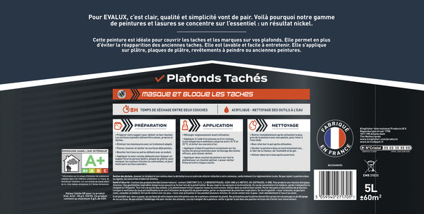 Peinture Blanche intérieure plafonds Mat 5 L - Evalux - Brico Dépôt