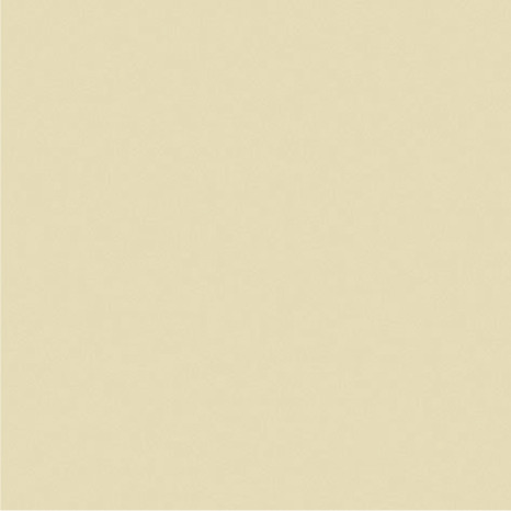 Peinture façade 10 L ton pierre mat - Evalux - Brico Dépôt