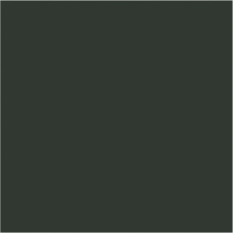 Peinture extérieure Satin multi supports 0,75 L vert sapin - Evalux - Brico Dépôt