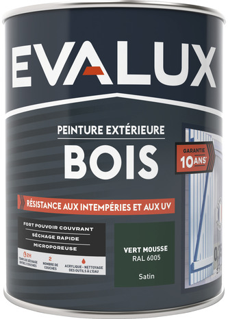 Peinture extérieur bois 0,75 L vert mousse satin - Evalux - Brico Dépôt