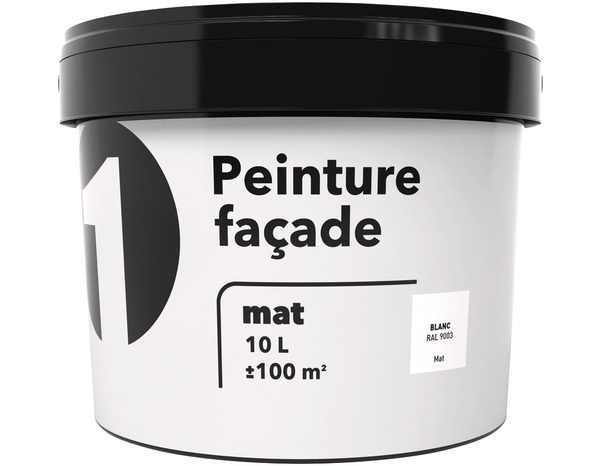 Peinture façade mate 10 L blanche - Brico Dépôt