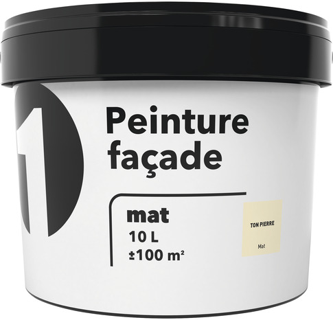 Peinture façade mate 10 L ton pierre - Brico Dépôt