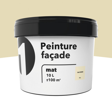 Peinture façade mate 10 L ton pierre - Brico Dépôt