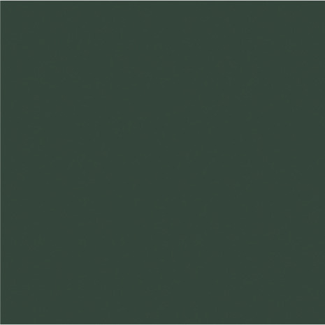 Peinture extérieur bois 0,75 L vert mousse satin - Evalux - Brico Dépôt