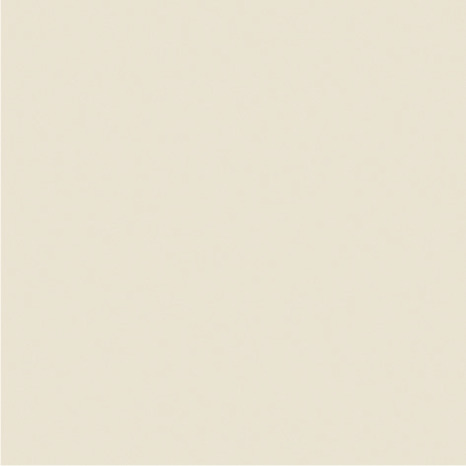 Peinture façade extrême 10 L blanc cassé mat - Evalux - Brico Dépôt