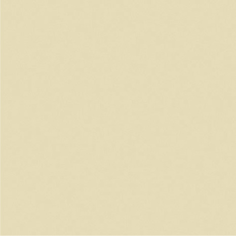 Peinture extérieure appuis fenêtre 2,5 L ton pierre mat - Evalux - Brico Dépôt