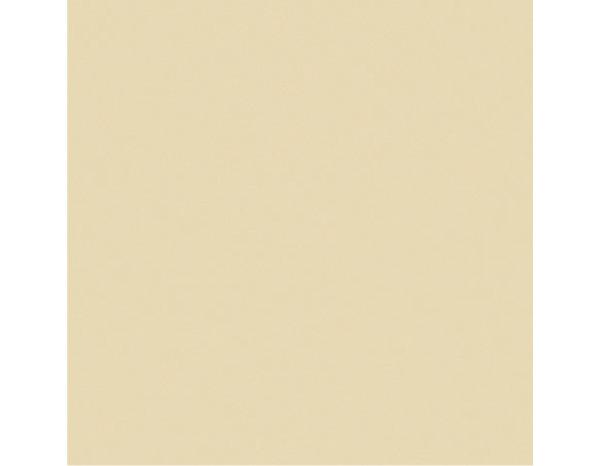 Peinture façade extrême 10 L ton pierre mat - Evalux - Brico Dépôt