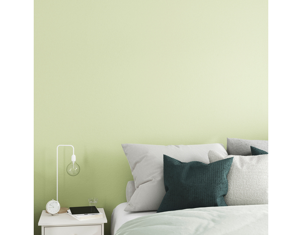 Peinture mur intérieur Satin 0,75 L Vert tilleul - Evalux - Brico Dépôt